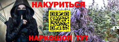 прущие грибы Апшеронск