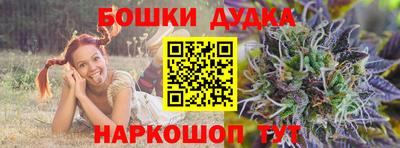 прущие грибы Апшеронск