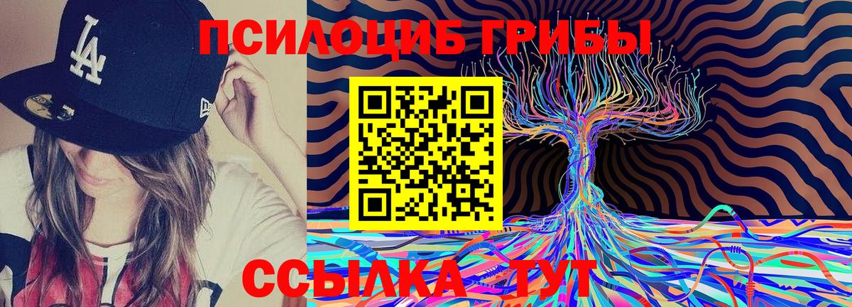 Галлюциногенные грибы MAGIC MUSHROOMS  Вход с VPN  Бахчисарай 